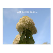 Consiga una mejor pronto postal del Hydrangea de l