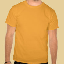 Consigamos 2 afortunados camisetas