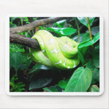 Constrictor Alfombrillas De Ratón