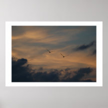 Contenido Poster