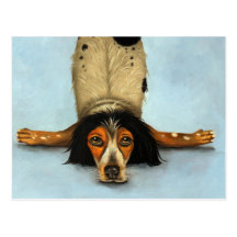 Contorsionista canino tarjetas postales