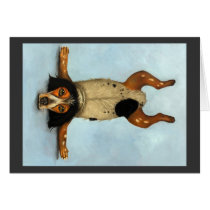 Contorsionista canino tarjetas