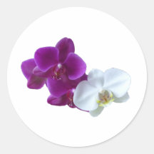 Contrastes de la orquídea etiqueta