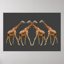 CONVERGENCIA 122 (20X30) POSTERS