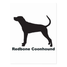 Coonhound de Redbone Postales