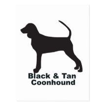 Coonhound negro y del moreno postales