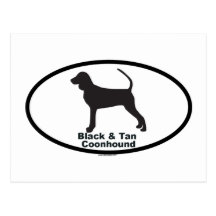 Coonhound negro y del moreno postales