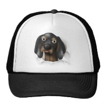 Coonhound (negro y moreno) que revienta hacia fuer gorras de camionero
