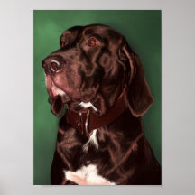 Coonhound Impresiones