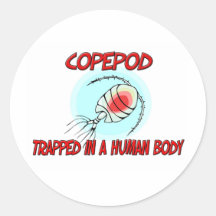 Copepod atrapado en un cuerpo humano pegatina