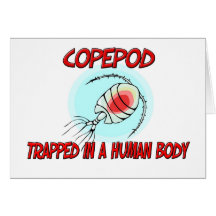 Copepod atrapado en un cuerpo humano tarjeta