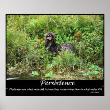 Copia de CLAUDE DESROCHERSOTTER Poster