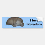 Copia de Millie, amo labradors Pegatina De Parachoque