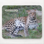 Copia LeopardSundari_002 Alfombrilla De Ratones