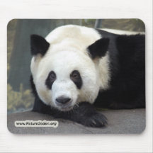 copia panda111 alfombrillas de ratón
