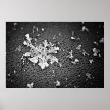 Copo de nieve poster