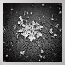 Copo de nieve impresiones