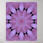 Coral violeta poster