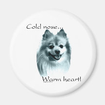 Corazón caliente de la nariz fría de Pomeranian - 