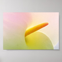 Corazón de la flor posters