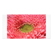 Corazón de la margarita del Gerbera Tarjetas Con Fotos Personalizadas