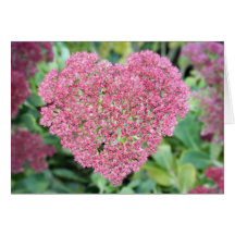 Corazón de Sedum Tarjetas