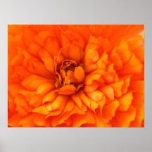 Corazón del naranja impresiones