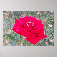 Corazón en rosa poster