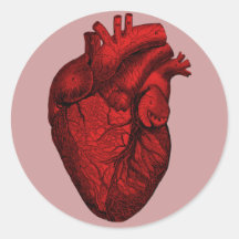 Corazón humano anatómico pegatina redonda