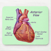 Corazón humano etiquetado Mousepad