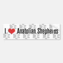 (Corazón) pastores de Anatolia I Etiqueta De Parachoque