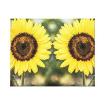 Corazones del girasol en amor lona envuelta para galerias