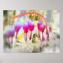 corazones sangrantes del fairyland posters