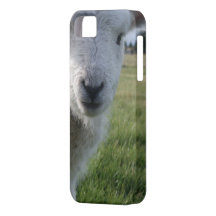 Cordero iPhone 5 Case-Mate Funda