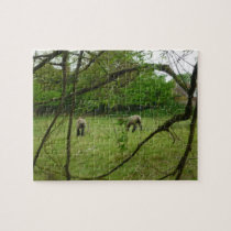 Corderos en yarda inglesa puzzles