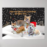 Corgi "el alcohol del navidad " posters