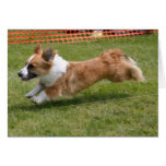 Corgi Galés de la rebeca del vuelo Tarjetón