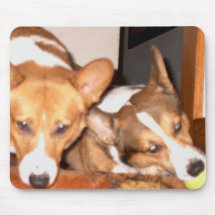 Corgi Tapetes De Ratón