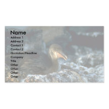 Cormorán Flightless en jerarquía Plantillas De Tarjetas Personales