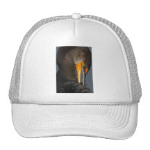 cormorán gorras