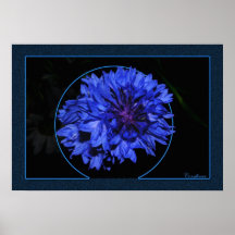 Cornflower Impresiones