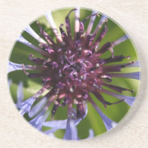 Cornflower Posavaso Para Bebida