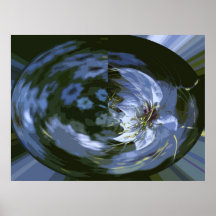 CORNFLOWER POSTERS