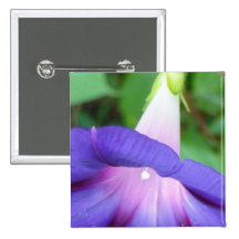Correhuela Pin