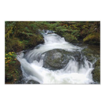 Corriente de Pilchuck del soporte Impresiones Fotograficas