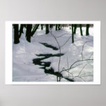 Corriente del invierno poster