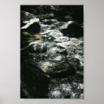 Corriente Posters