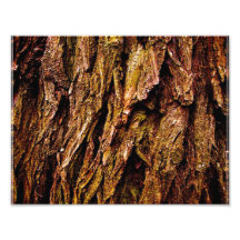 Corteza de árbol real impresión fotográfica