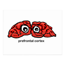 Corteza prefrontal tarjeta postal