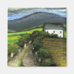 Cortijo irlandés viejo imán de nevera